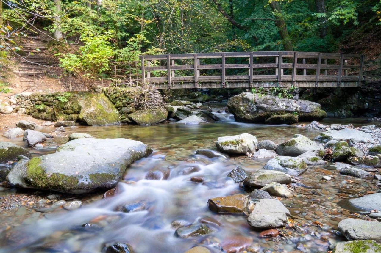 Tree Tops At The Falls - Great For Families, Central Location With Parking Ambleside Exterior foto